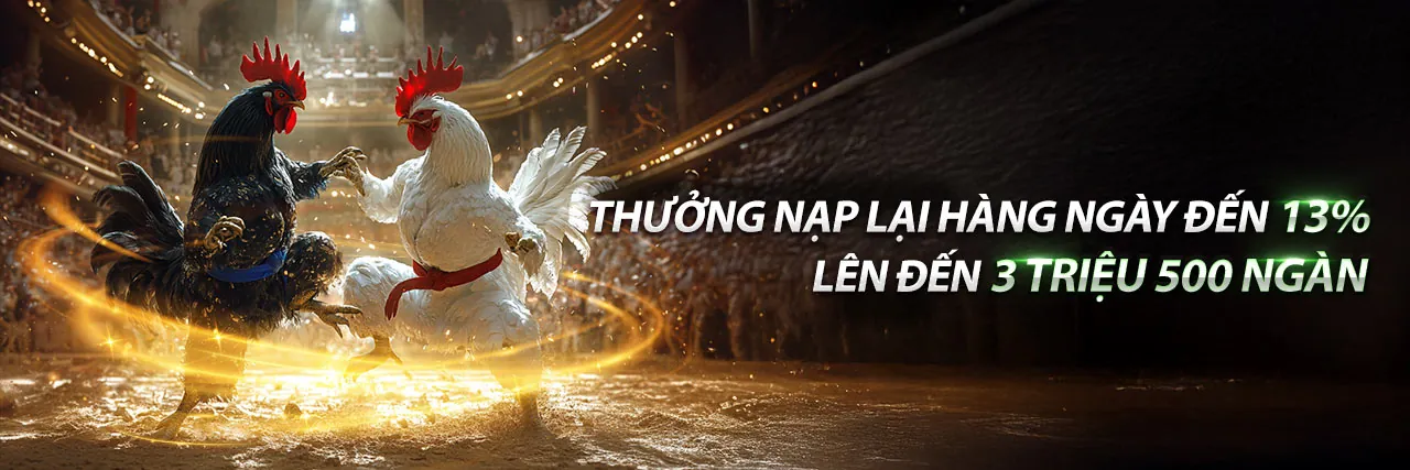 Các loại khuyến mãi đa dạng tại bj66 nhà cái